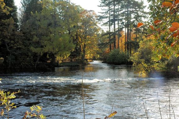 Autumnal view of the River Ness taken from the very pretty Ness-Side Walk.